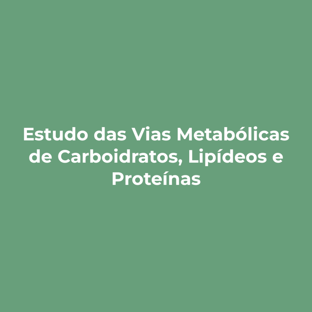 Linha de pesquisa