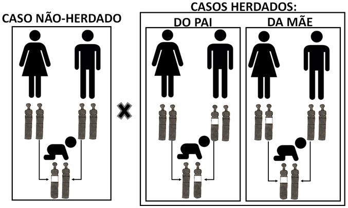 Figura 4: Ilustração diferenciando caso não herdado de herdado.