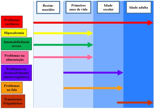 Figura 5: Principais problemas apresentados de acordo com a idade: