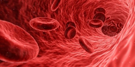 Representação gráfica de células vermelhas do sangue (hemácias) fluindo por um vaso sanguíneo.