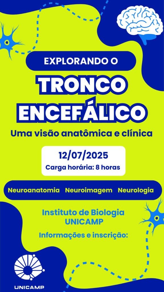 Divulgação do curso de extensão Explorando o tronco encefálico, uma visão anatômica e clínica.