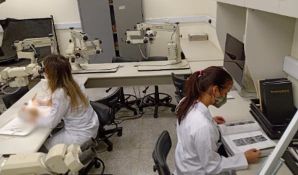 Centro de Treinamento em Neuroanatomia e Microcirurgia (2)