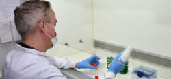 Pessoa com jaleco branco, máscara e luvas azuis manipula amostras em uma cabine de segurança biológica dentro de laboratório, utilizando um pipetador automático.