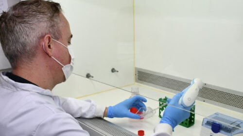 Pessoa com jaleco branco, máscara e luvas azuis manipula amostras em uma cabine de segurança biológica dentro de laboratório, utilizando um pipetador automático.