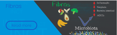 fibras - inct
