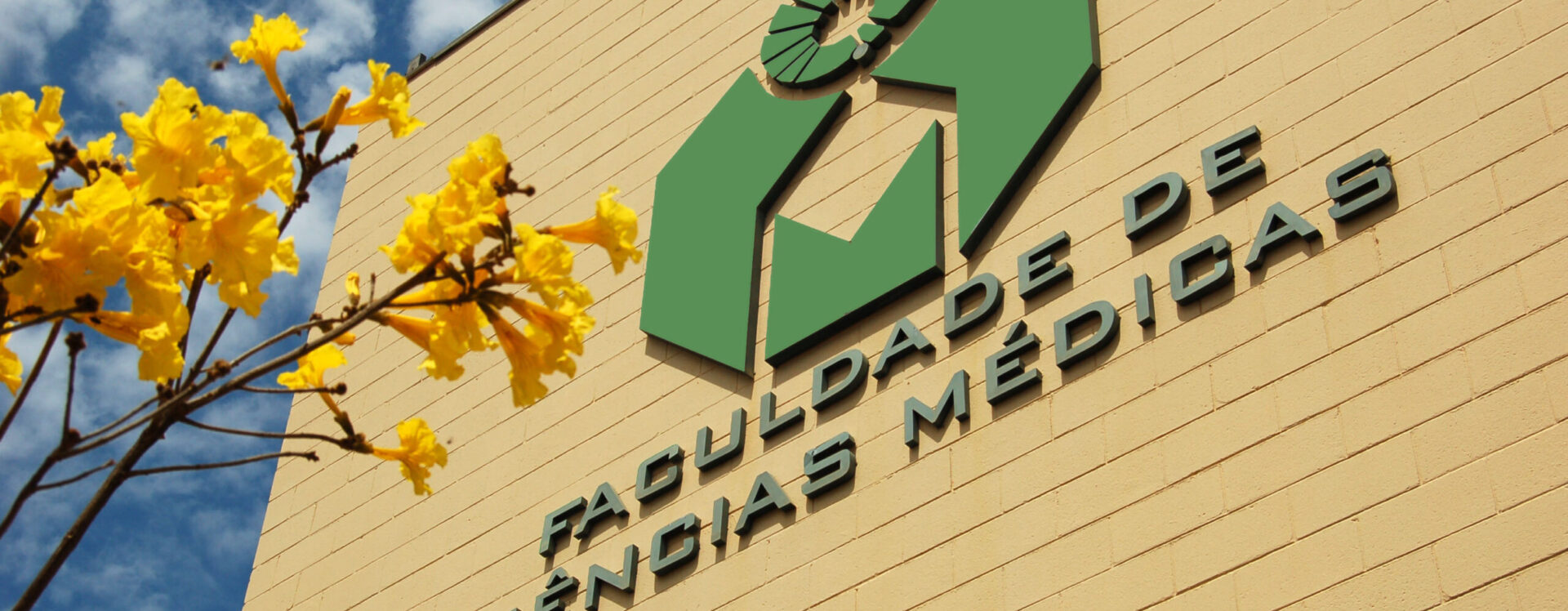 Fachada da Faculdade de Ciências Médicas da Unicamp, com o logotipo verde em destaque sobre parede amarelada. No canto esquerdo da imagem, galhos de ipê-amarelo florescem sob um céu azul com nuvens.