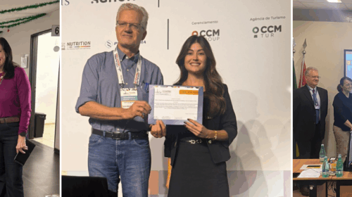 “Montagem com três fotos. Na primeira, um grupo de quatro profissionais da saúde posa em um corredor decorado com enfeites natalinos; duas mulheres usam jaleco branco e as outras duas pessoas usam roupas casuais com crachás. Na segunda imagem, um homem e uma jovem posam sorrindo durante um evento; ela segura um certificado enquanto ambos estão diante de um fundo com logotipos de patrocinadores. Na terceira foto, um grupo de seis mulheres e um homem está reunido em uma sala de aula, parte presencial e parte conectada por videoconferência; atrás deles há uma tela projetando participantes remotos.”